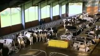 45 Min: Die Milch - Lüge NDR 30.07.2012