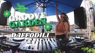 Daffodili - GROOVE GARDEN AUGUST 25TH 2024