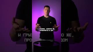 Как ИЗБАВИТЬСЯ от грызунов БЕЗ яда? #трис #дом #грызуны