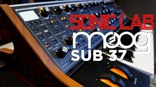 Moog Sub 37 Bass Synth - SonicLAB Review