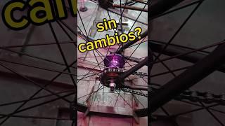 bicicletas con o sin cambios? cuál elegir...