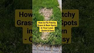 #shorts How to fix patchy grass and bare spots in your lawn - quick & easy #lawncare#lawnmaintenance