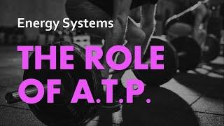 The Role of ATP | Energy Systems 01 | Anatomy & Physiology