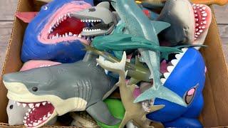 Shark Toys Unboxing: Sea Animal Adventure for Kids | Educational Fun