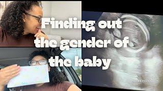 Come With Me To Find Out The Gender Of The Baby/ Five Month Appointment/ Family Get Together/ Movies