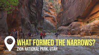 Zion's Narrows Refute Uniformitarian Thinking! | Creation on Location