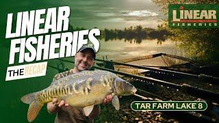 CATCHING CARP AT LINEAR FISHERIES - TAR FARM LAKE 8