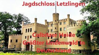 Jagdschloss Letzlingen und Deutschland größter Lindenwald in der Colbitzer Heide(2021, 4k)