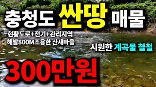 단돈300만원~ 충청도싼땅매물 진입로 계곡물철철 ~자연인 ~전기,도로,농막,주말농장,텃밭용 보전관리지역 충북 영동 매물 -찾경공-