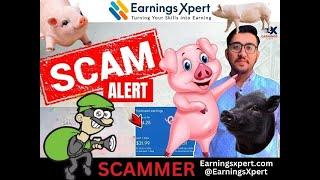 "Exposing Hamza Tahir: The Earningsxpert AdSense Approval Scam | Beware of This Fraud!"