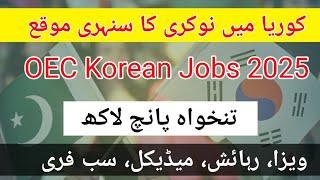 5 Lac Salary  Jobs in Korea From Pakistan