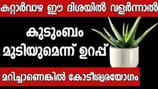 വീട്ടിൽ കറ്റാർവാഴ ഉള്ളവർ ഈ തെറ്റ് ചെയ്യല്ലേ കുടുംബം നശിക്കും Malayalam astrology / vastu