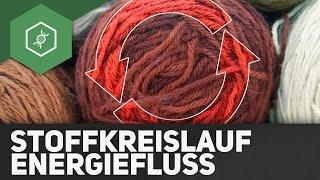 Stoffkreisläufe und Energiefluss - Ökologie