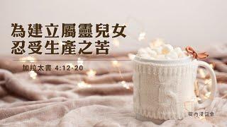 20241026 活潑的生命 / 加拉太書4:12-20節 / 碇內浸信會