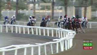 Race 5 - 20th Meeting - Rahba - 16/03/2024