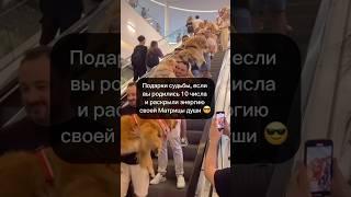 Если вы родились 10 числа. Елена Зори нумеролог. Матрица судьбы.