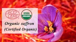 Organic Saffron supplier in Egypt