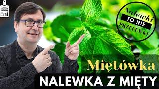 Sposób na doskonałe orzeźwienie? Nalewka z mięty albo miętówka