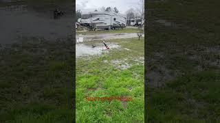 Campground flooded -we need a boat #shorts #rv #campgroundflooded #flooded