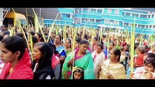 ST GEORGE CHURCH THALAYOLAPARAMBU  | HOSANA 2018 | ഓശാന_ഞായർ