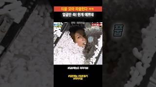 (일본예능) 티끌 모아 파묻히기ㅋㅋㅋ