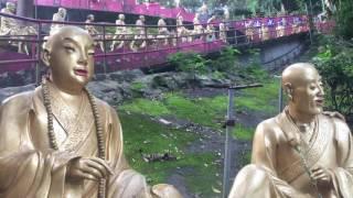 Drink Life to the Lees - a Peg and Bix Travel Video Featuring Hong Kong and Macau