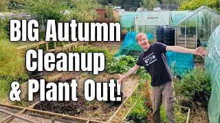 Clearing The Allotment For Winter | Planting Cabbages, Broccoli, & Garlic | Gardening For Beginners