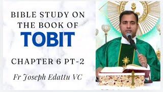 Bible Study - Book of Tobit [Chapter 6, Part 1] - Fr Joseph Edattu VC