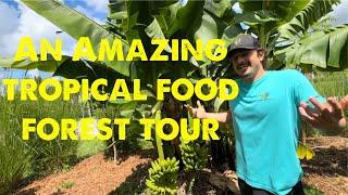 An amazing south Florida tropical garden tour !!!!