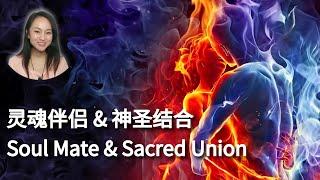 【灵魂家族系列/Soul Family Series】02 灵魂伴侣和神圣结合/Soul Mate and Sacred Union 432Hz | 昴宿西 PleiadianXi