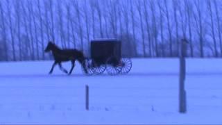 Amish buggy leaving Glacial Ridge Equine