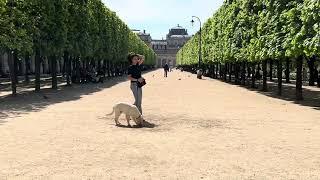 Paris : Jardin du Palais Royal 