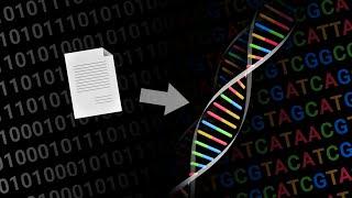 How to store data on DNA?