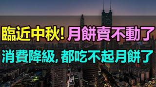 臨近中秋，月餅卻賣不動了！一大批代工廠缺訂單，只能做三休一！賣月餅的則更慘，酒店背負1萬盒銷售任務，壓力巨大！經濟慘淡，消費降級，大家都不買月餅了 #中秋 #月餅 #銷量暴跌 #消費降級 #月餅賣不動