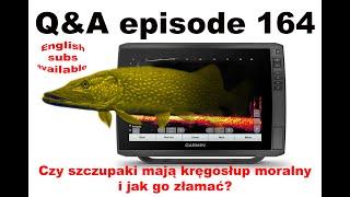 Q&A odcinek - Czy szczupak ma kręgosłup moralny i jak go złamać?