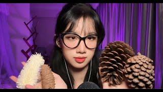 Prickly Pine Cone ASMR  Deep Sleep & Ultimate Relaxation 