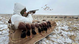 INSANE Dry Field Mallard Duck Hunting! (CATCH AND COOK)