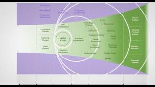 Maternal health in the perinatal period and beyond: Neglected consequences of labour and childbirth.