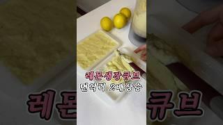 해독 면역 무설탕 레몬생강큐브🫚 환절기 비염 효과 직빵 정말 맛있어요! #레몬 #생강