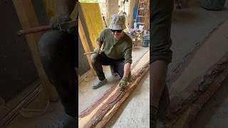 Animal cruelty  #homebuilder #repair #selfbuilder