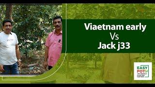 വിയറ്റ്നാം ഏർലി v/s jack j33