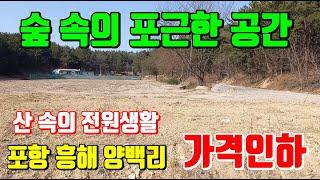 (가격인하) 포항 흥해읍 양백리 산 속에 숲으로 둘러 쌓인 전원주택부지 주말농장부지 포항부동산 토지매매