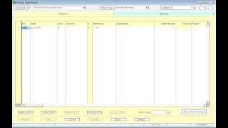 Processing Opening Balances and Viewing Trial Balance on Sage Pastel Accounting