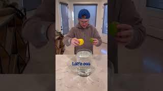 What's The Difference Between A Lemon And Lime