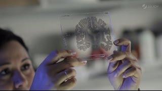 The Human Brain Project