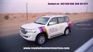 Evening Desert Safari Dubai With Intl BBQ Dinner  - Adventure Rides -Falcon Live Shows and More