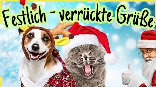 Bald ist Weihnachten!  Mit witzigen Weihnachtsgrüßen & tierisch guter Laune 