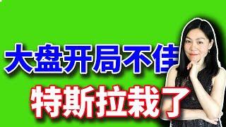 美股开年第一天，特斯拉大跌。【2025-01-02】