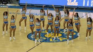 UCLA Dance Team Performance – Oregon 2/3/2024