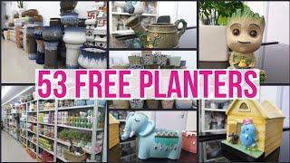 PLANTERS, POTS, GARDEN ACCESSORIES & MORE ALL INDIA | HOW TO CHOOSE A RIGHT PLANTER PLANTS AND POTS